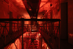 BalticNOG-493-web